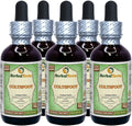 Organic Dried Leaves Alcohol-Free Liquid Extract 5x2 fl.oz W430212