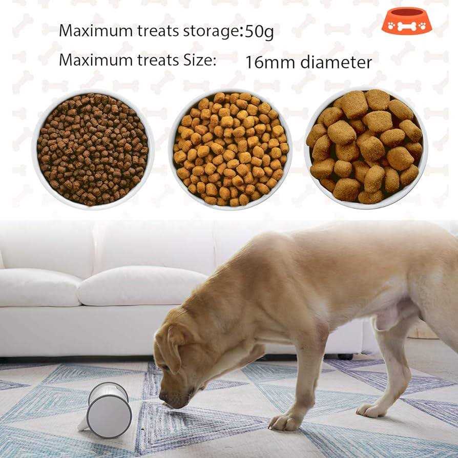 Full HD Pet Camera with Treat Dispenser I138