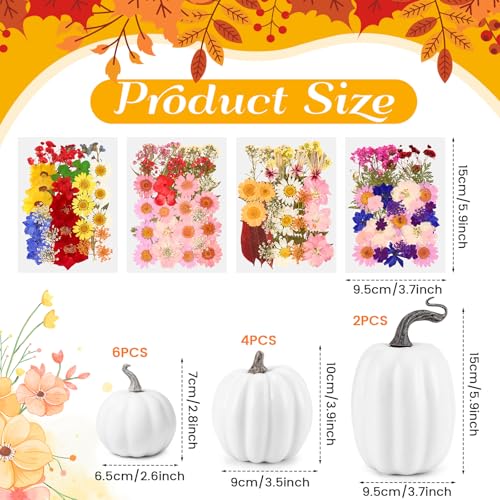 12 Pcs White Artificial Pumpkin and 140 Pcs Dried Flowers DIY Crafts Kit C290