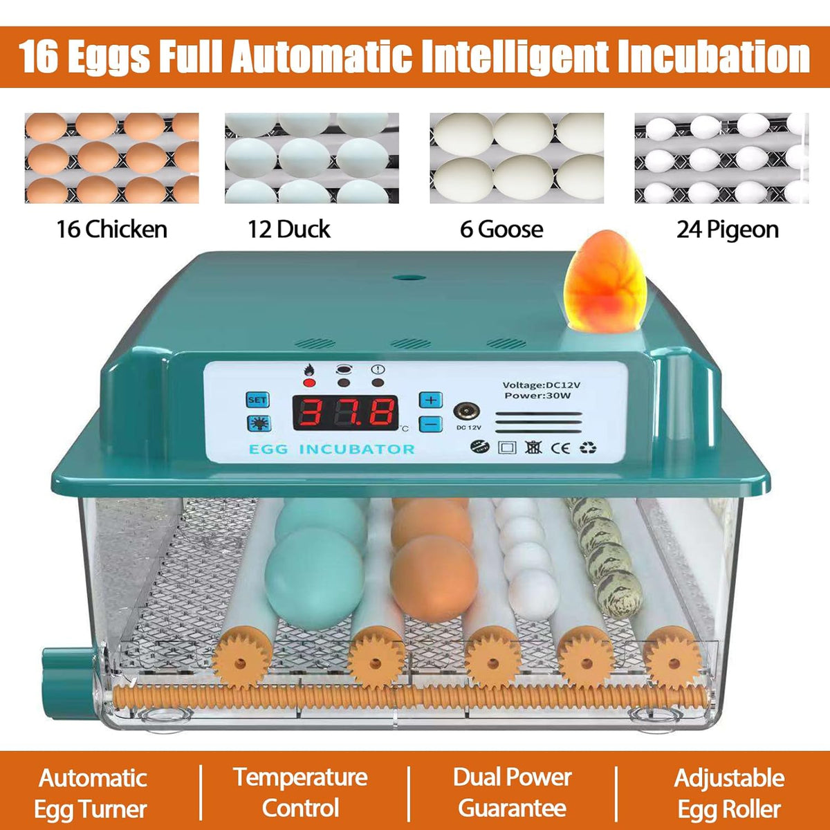 16 Eggs Incubator with Automatic Egg Turning, Temperature Humidity Control, LED Candler, Adjustable Egg Tray J1939