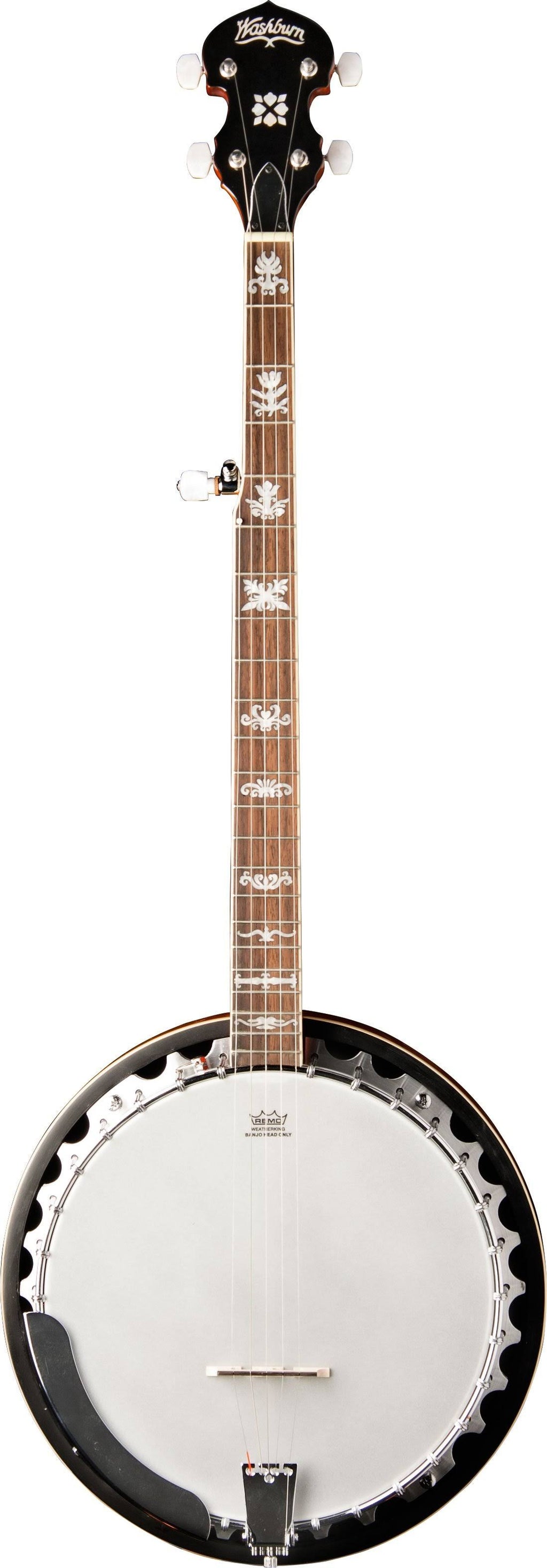 5-String Banjo Q607839