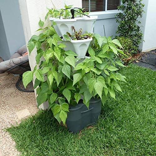 Standard Kit Stone Self Watering Vertical Tower Gardening System W275