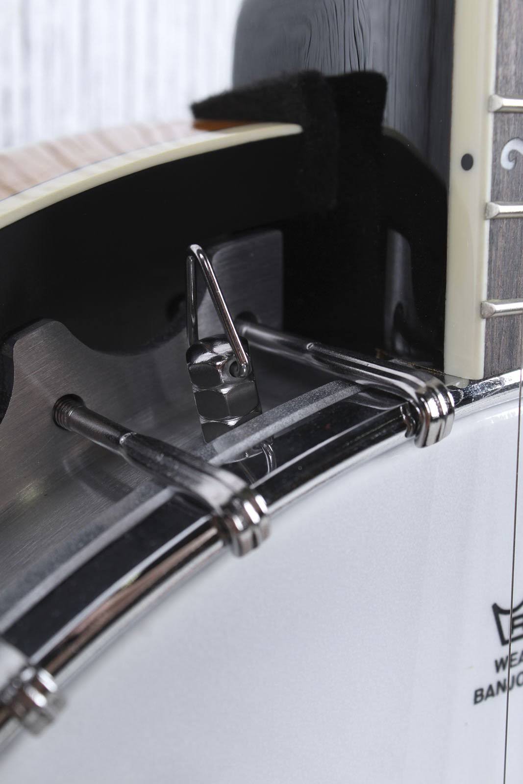 5-String Banjo Q607839