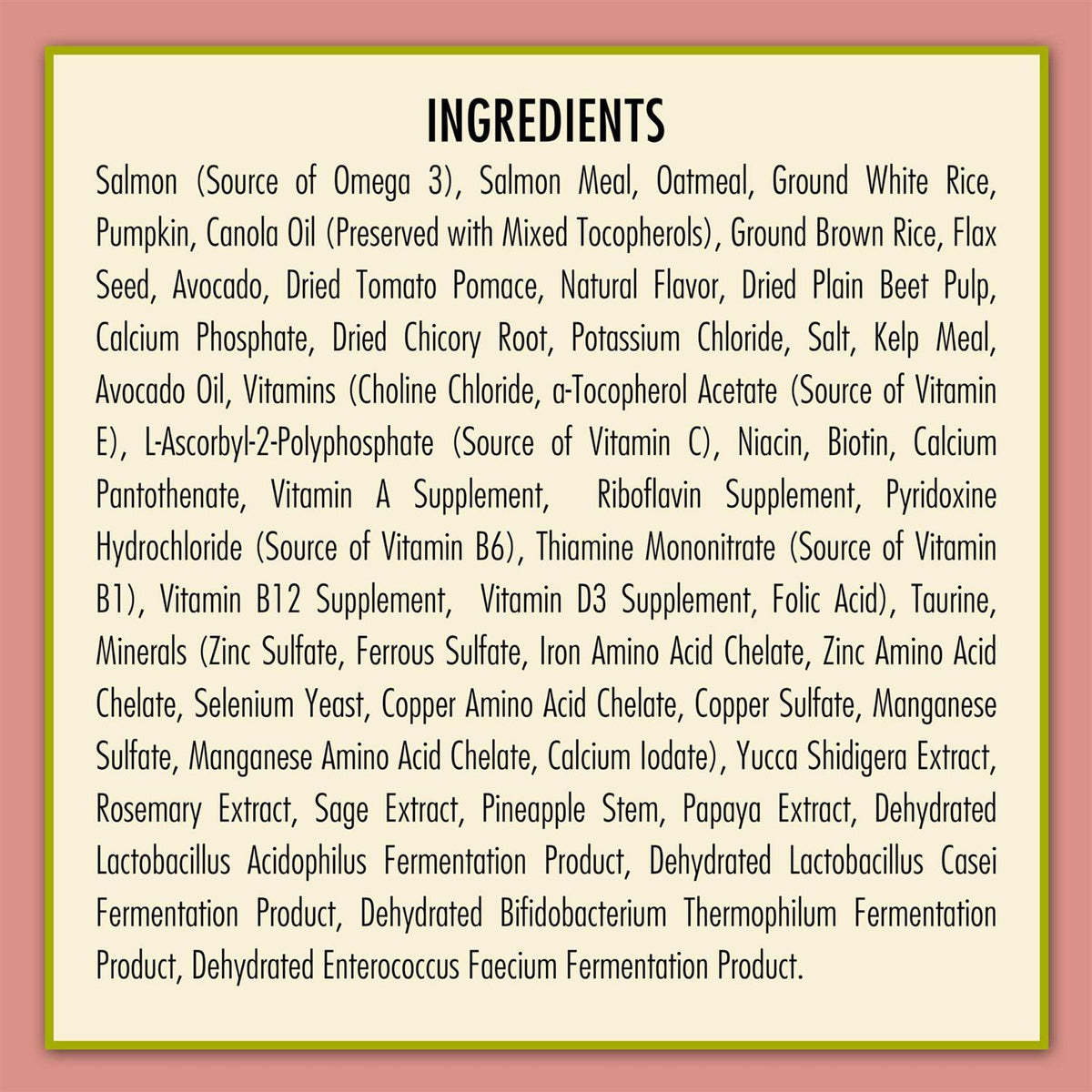 Salmon & Oatmeal Formula Dry Dog Food B568