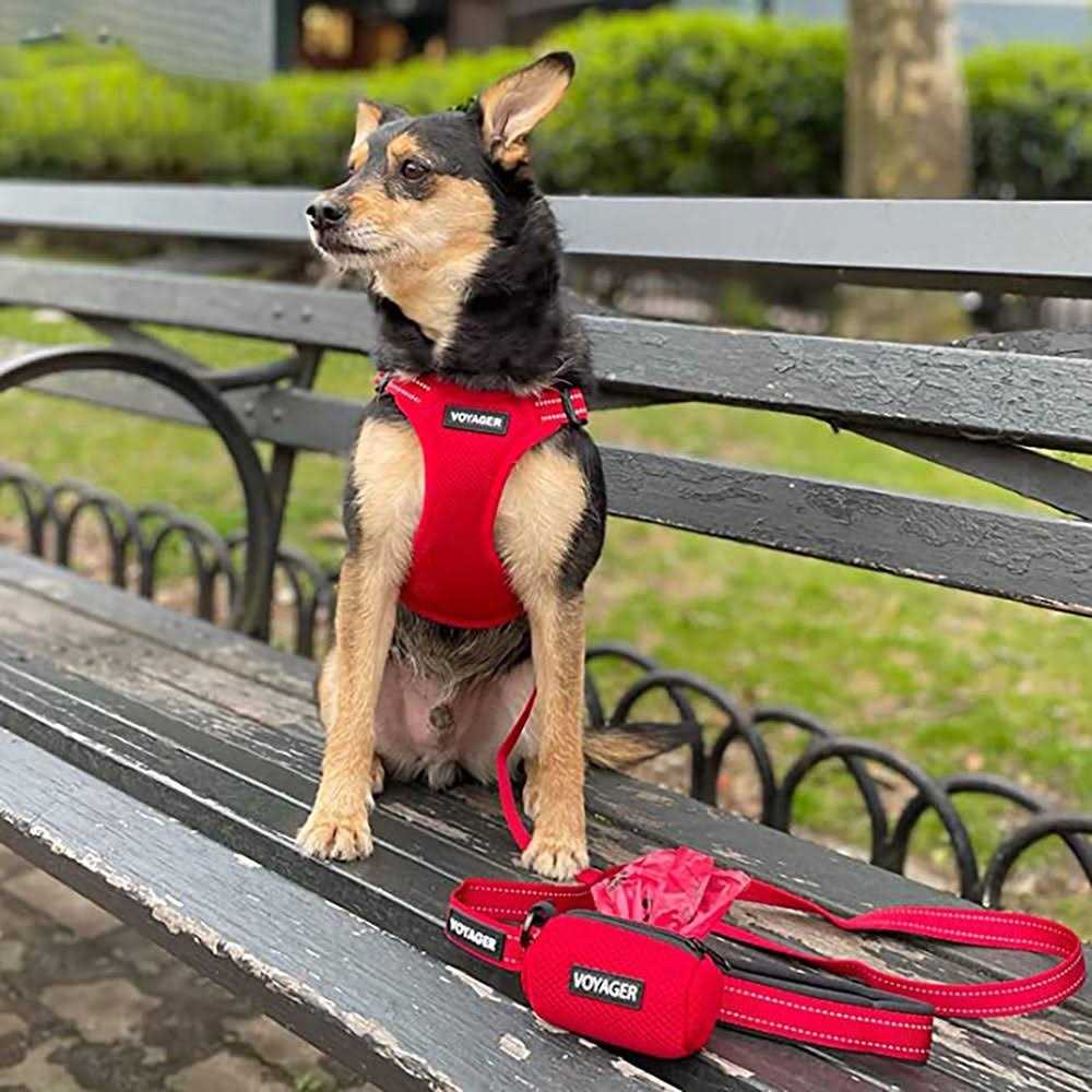 Reflective Dog Leash with Neoprene Handle, 5ft A313