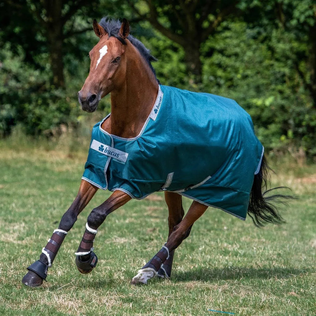 Atlantic Turnout 50g K92609