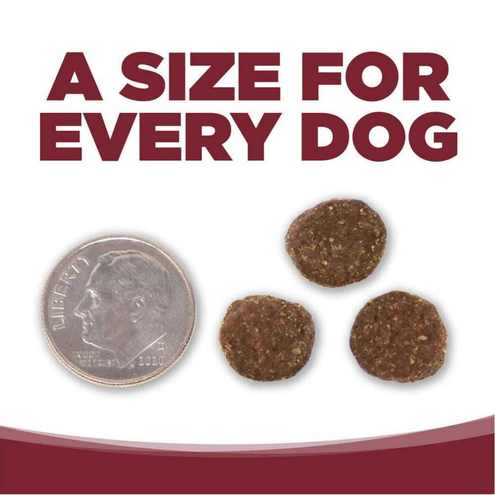 Beef Rice Dry Dog Food U728699