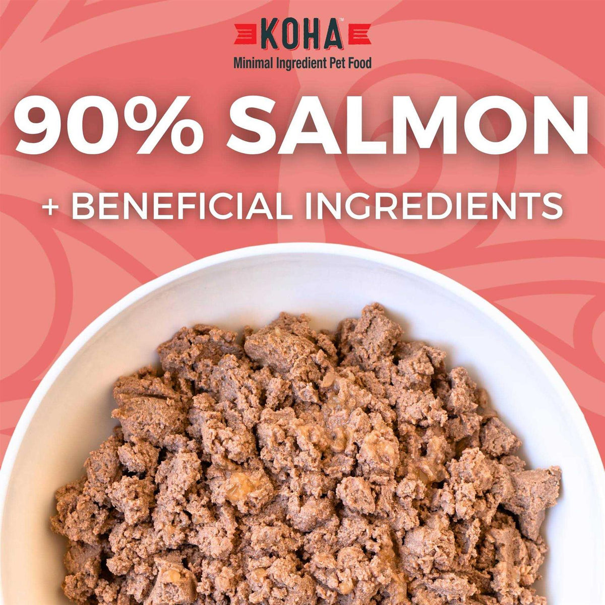 Grain & Potato Free Salmon Entree Canned Dog Food C265