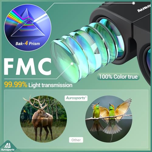 10x25 Folding Compact Binoculars T6707