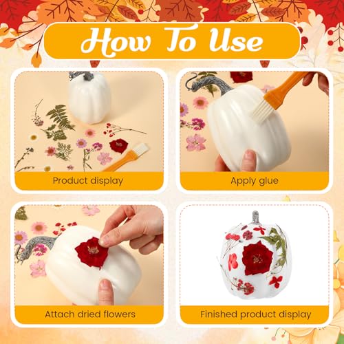 12 Pcs White Artificial Pumpkin and 140 Pcs Dried Flowers DIY Crafts Kit C290