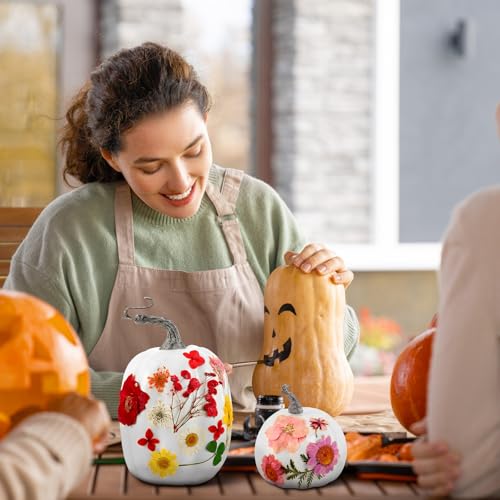 12 Pcs White Artificial Pumpkin and 140 Pcs Dried Flowers DIY Crafts Kit C290