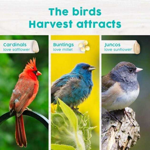 Wild Bird Food N4394