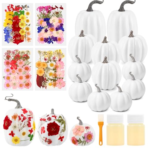 12 Pcs White Artificial Pumpkin and 140 Pcs Dried Flowers DIY Crafts Kit C290