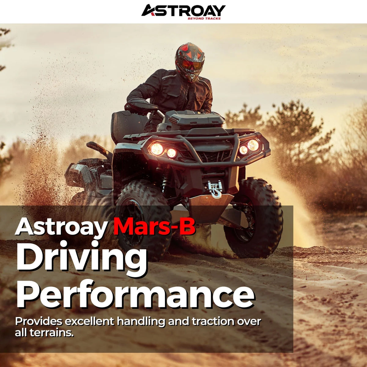 12 Utility ATV/UTV Tire W282219