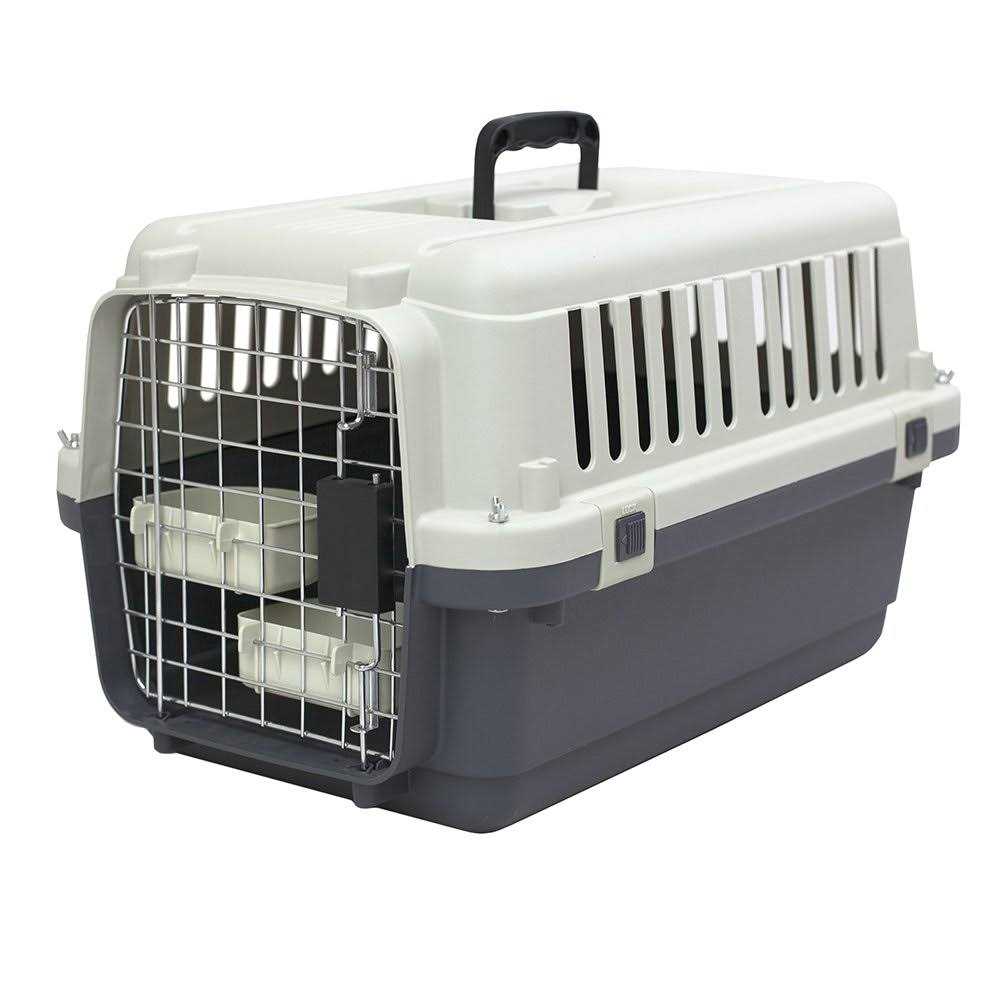 Plastic Dog Crate G38662