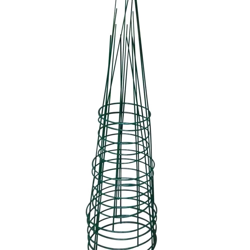Heavy Duty Evergreen Plant Support T60806