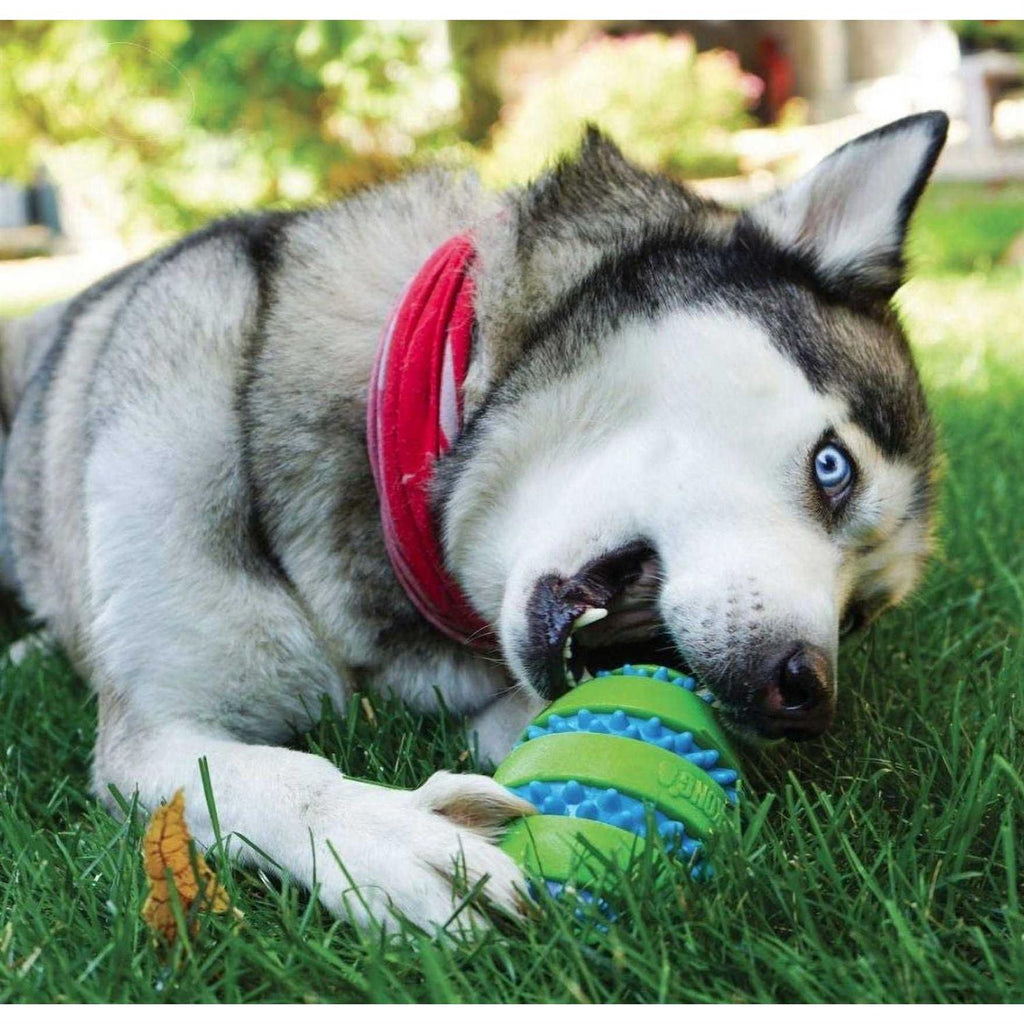 Football Dog Toy Z312