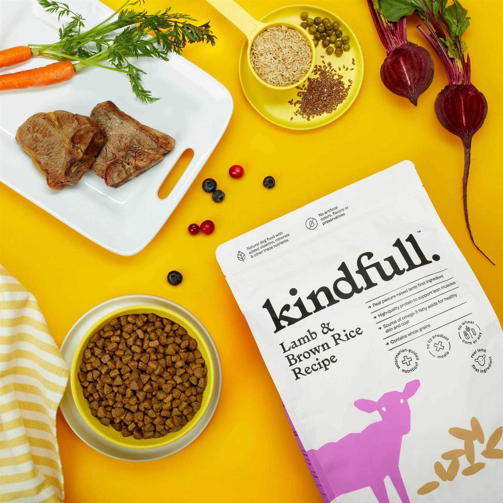 Lamb & Brown Rice Recipe Dry Dog Food P483996