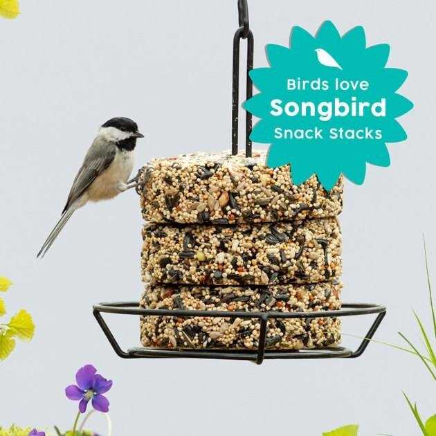 Wild Bird Food N4394