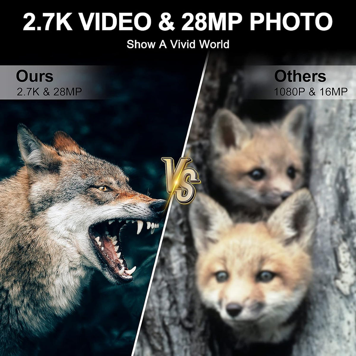 2.7K 28MP Trail Camera with Night Vision, Waterproof IP66, Pack of 2 K4469