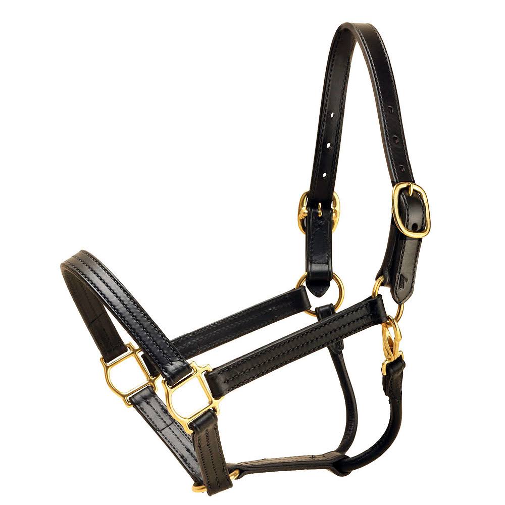 Leather Halter Q583740