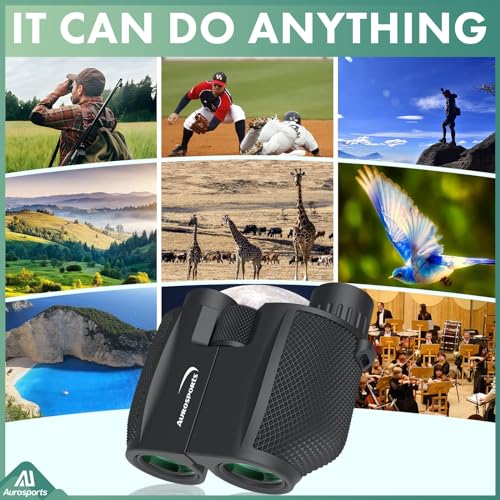 10x25 Folding Compact Binoculars T6707