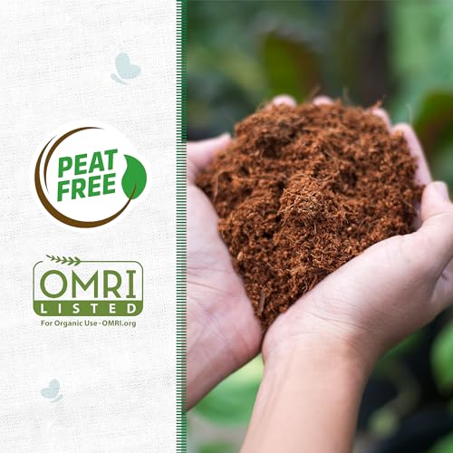 Organic Seed Starting Compressed Block C72546