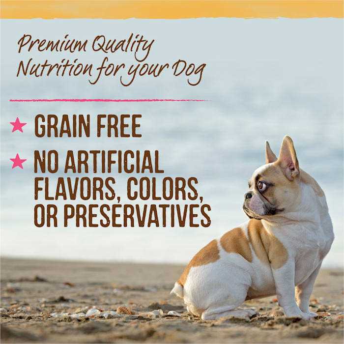 Grain Free Adult Wet Dog Food Z6441