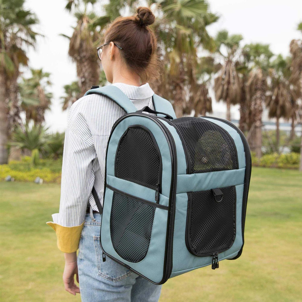 Pet Carrier Backpack for Cats and Dogs J834726