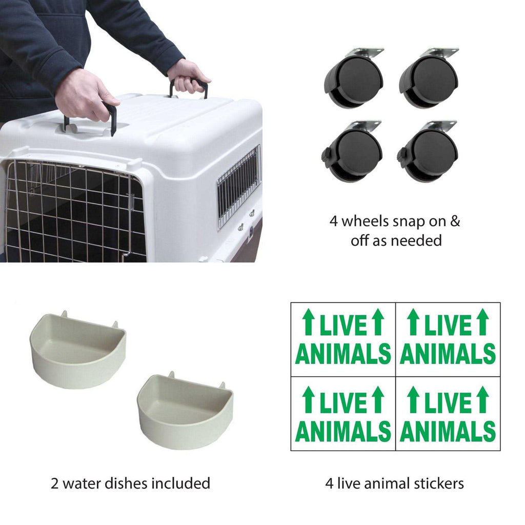 Plastic Dog Crate G38662