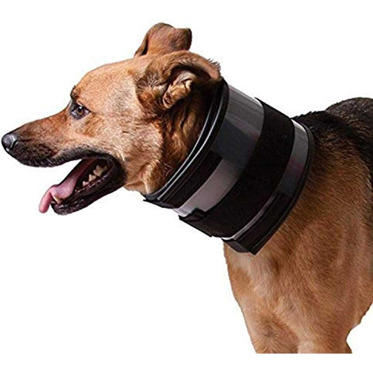 Cervical Collar Y19742