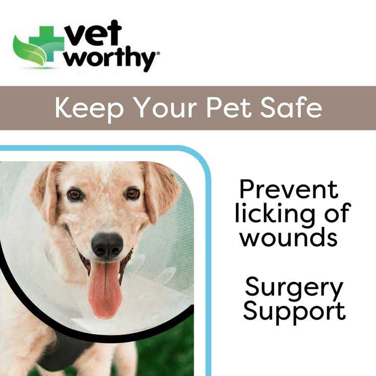 Protective Cone Collar U85628
