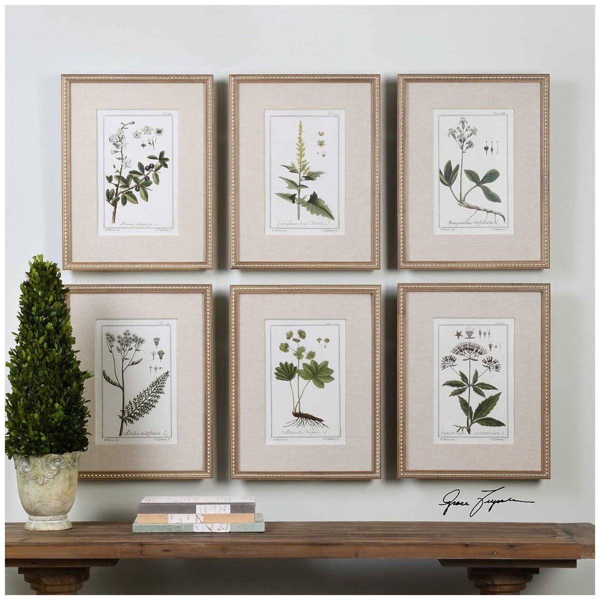 Set of 6 Green Floral Botanical Study Prints I278