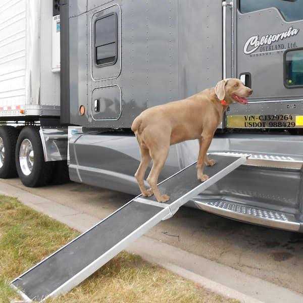 8 ft. Lightweight Portable Folding Aluminum Pet Ramp O9840