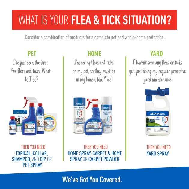 Foaming Flea And Tick Shampoo with Aloe And Cucumber I63794